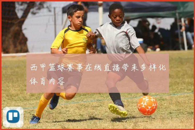西甲篮球赛事在线直播带来多样化体育内容