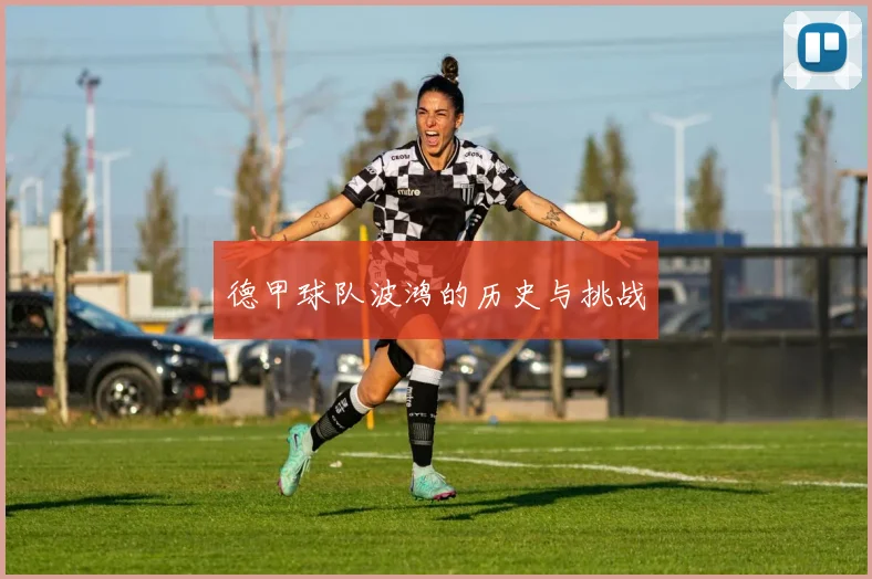 德甲球队波鸿的历史与挑战