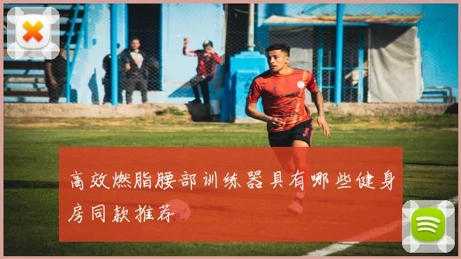 高效燃脂腰部训练器具有哪些健身房同款推荐