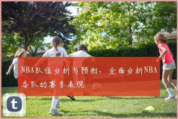 NBA队伍分析与预测，全面分析NBA各队的赛季表现