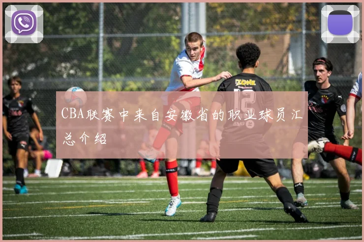 CBA联赛中来自安徽省的职业球员汇总介绍