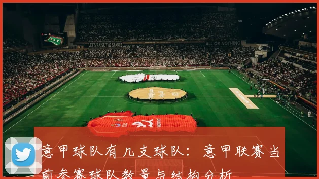 意甲球队有几支球队：意甲联赛当前参赛球队数量与结构分析