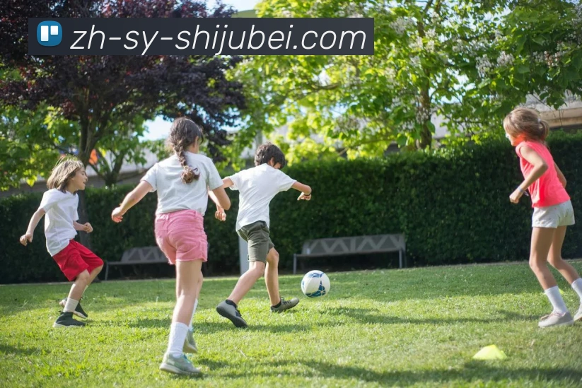 世界杯赛程表发展历程