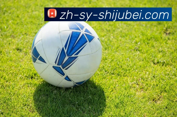 法甲赛季目标制定流程揭秘：管理层与教练组协商机制